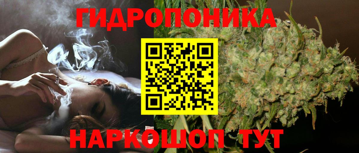Канабис сатива Лянтор
